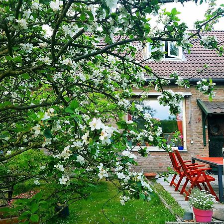 Huisjeaandedinkel Overdinkel Ngoại thất bức ảnh