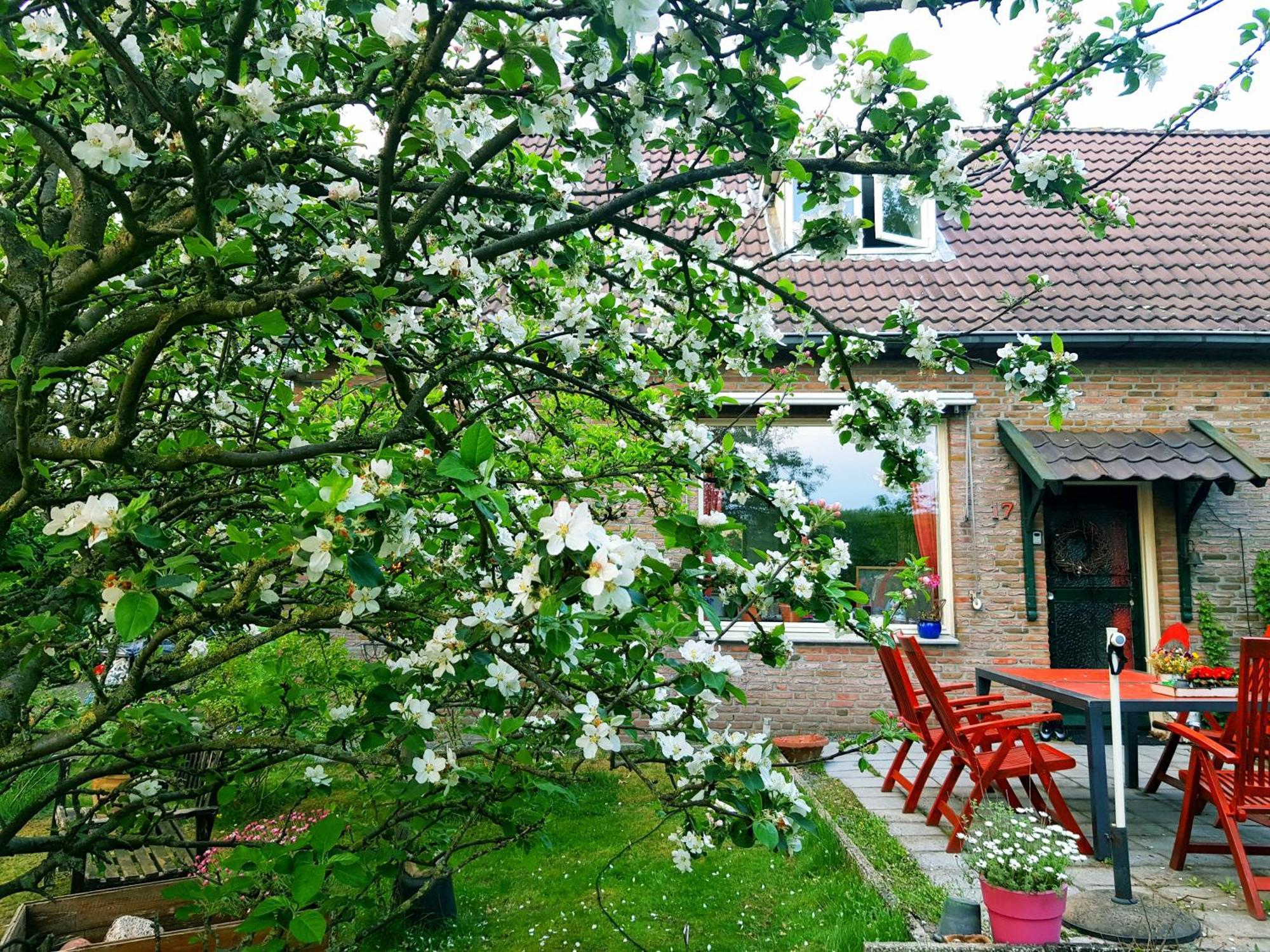 Huisjeaandedinkel Overdinkel Ngoại thất bức ảnh